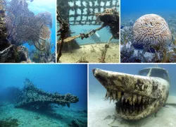 bvi_wrecks_.png.webp