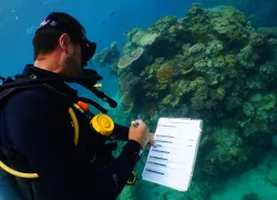 cairns-reef-survey-courtesy-quicksilver-cruises.jpg.webp