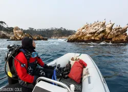 captain-own-boat-california-zodiac-d-brandon_cole_webversion.jpg.webp
