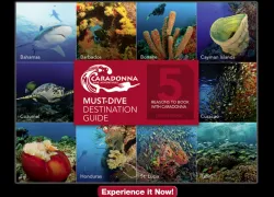 caradonna_thumb.jpg.webp