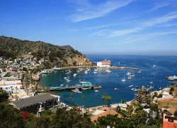casino-point-avalon-catalina-shutterstock-l.a.-nature-graphics.jpg.webp