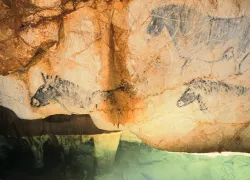cave-drawings-cosquer-cavern-cosquer-mediterranee.jpg.webp