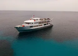 cayman-aggressor-v-drone.jpg.webp