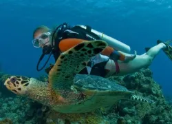 cayman_islands.jpg.webp