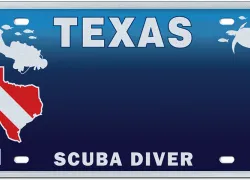 chum-texas-license-plate-myplates.com_.jpg.webp