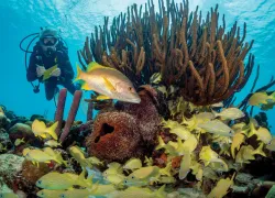 citizen-scientist-tim-peters-.jpg.webp