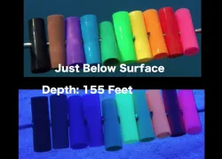 colorchangeti.jpg.webp