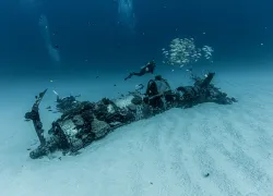 copy_of_--_birthday_dive_.jpg.webp