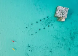 coralarium-courtesy-fairmont-maldives-sirru-fen-fushi.png.webp