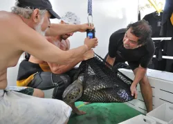 costa rica____.jpg.webp