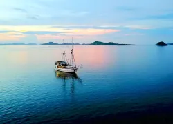 courtesy-aggressor-liveaboards_trip--sept-copy-indo-aggressor.jpg.webp