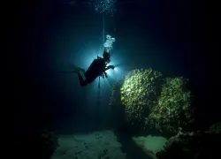 credit_padi_.jpg.webp