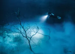 deep_dives_the_pit_teaser_jennifer_penner____mk_.jpg.webp