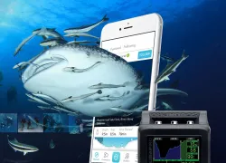 deepblu_scubapro_computers_.jpg.webp