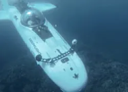 deepflightthumb.jpg.webp
