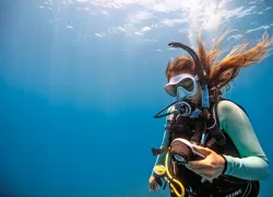 descending-diver-checks-gauges.png.webp