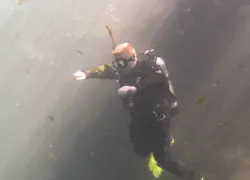 descending.jpg.webp