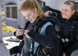 dive-buddies-help-bcd-credit-shutterstock-madelein-wolfaardt.png.webp