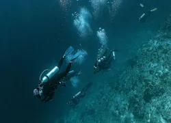 dive-hacks-drift-diving-tips.jpg.webp