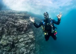 dive-master-ok-galapagos-annie-crawley-_edit.jpg.webp
