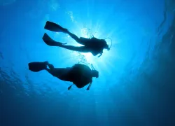 dive-pro-scuba-diving-buddies-shutterstock_.jpg.webp