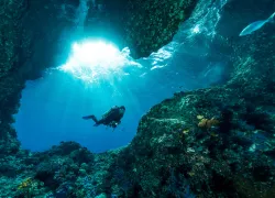 dive-pro-scuba-faqs-shutterstock_.jpg.webp