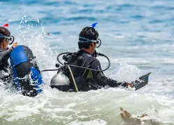 dive-pro-shore-diving-ow_.jpg.webp