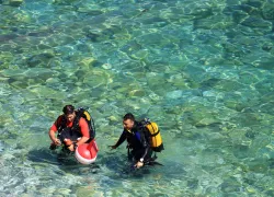 dive-pro-shore-exit-shutterstock_.jpg.webp
