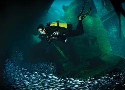 dive-wreck-research.jpg.webp