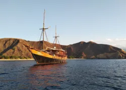 dive_damai_web_article_image_x.png.webp