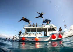 dive_paradise_rca_digital_article_images_x_image.png.webp