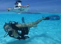 dive_provo_picture.jpg.webp
