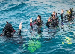 divemaster-course-courtesy-padi.jpg.webp