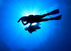 divemaster.jpg.webp