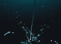 diver-caught-rope-illustration-lessons-for-life.jpg.webp
