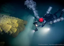 diver-hells-bells-courtesy-liquid-jungle-media.jpg.webp