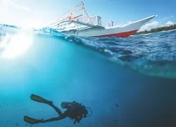 diver-liveaboard-shutterstock-dudarev-mikhail.jpg.webp
