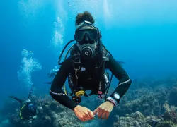 diver-padi.png.webp