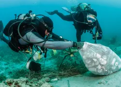 diver-trash-.jpg.webp