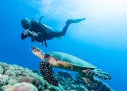 diverphotographer_shutterstock_.jpg.webp