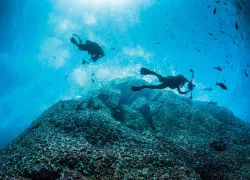 divers-mexico-annie-crawley.jpg.webp