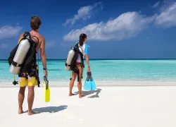divers-on-beach-apart-shutterstock-sven-hansche-web.jpg.webp