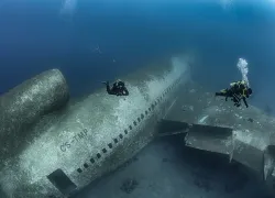 divers-top-red-sea-airplane-brett-hoelzer.jpg.webp