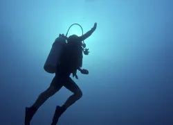 divers_alert_network_what_happens_if_i_ascend_too_fast_scd_curr_.jpg.webp