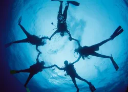 divers_holding_hands_web.jpg.webp