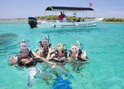 divers_several.jpg.webp