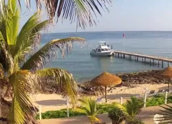 divetech-cobalt-resort.png.webp