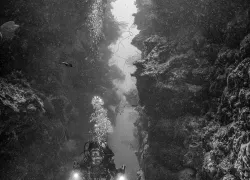 divewothedrive.jenniferpenner.scubadivingmag.august.jpg.webp