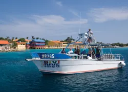 diviflamingo_dividiveboat.jpg.webp