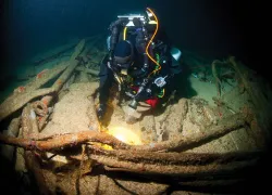 diving-for-treasure-.jpg.webp